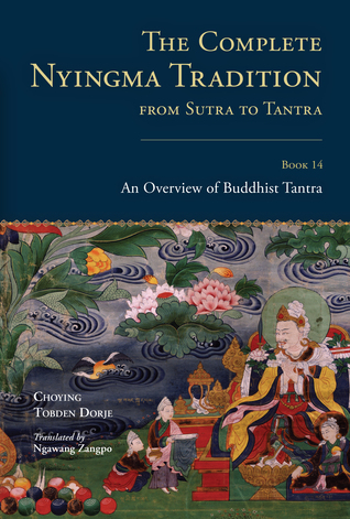 The Complete Nyingma Tradition from Sutra to Tantra, Book 14: An Overview of Buddhist Tantra (Tsadra Foundation)