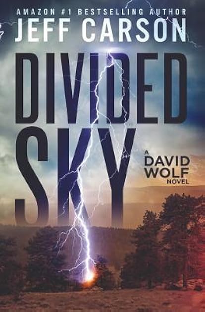 Divided Sky (David Wolf, #13)