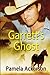 Garrett's Ghost (The PI Time Travel Series)