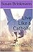 Live Like a Catholic by Susan Brinkmann