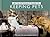 The Retronaut Guide to Keeping Pets: The past like you wouldn't believe