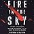 Fire in the Sky: Cosmic Collisions, Killer Asteroids, and the Race to Defend Earth