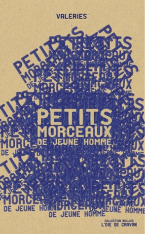 Petits morceaux de jeune homme (Paperback)
