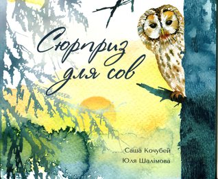 Сюрприз для сов (Paperback)