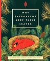 Why Evergreens Keep Their Leaves by Annemarie Riley Guertin