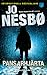 Pansarhjärta (Harry Hole, # 8)