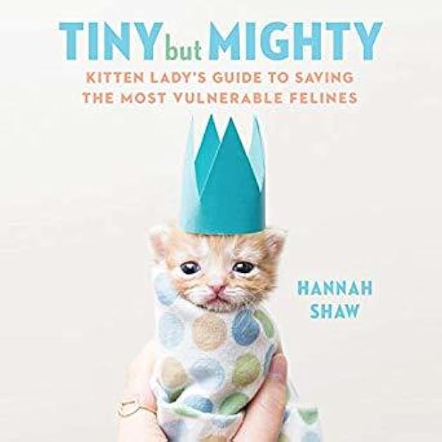 Tiny But Mighty: Kitten Lady's Guide to Saving the Most Vulnerable Felines