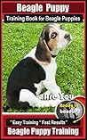 Beagle Puppy Trai...