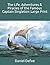 The Life, Adventures & Piracies of the Famous Captain Singleton