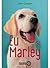 Eu și Marley by John Grogan