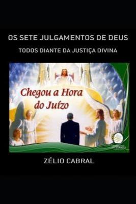 OS SETE JULGAMENTOS DE DEUS: DIANTE DA JUSTIÇA DIVINA (Portuguese Edition)