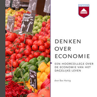Denken over economie (Audiobook)