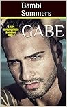 GABE: A Hart Investigations Romance. Book 3