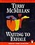 Waiting to Exhale by Terry McMillan