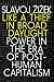 Like a Thief in Broad Daylight: Power in the Era of Post-Human Capitalism