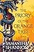 The Priory of the Orange Tr...