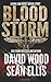 Bloodstorm: A Dane and Bones Origin Story (The Dane And Bones Origins Series)