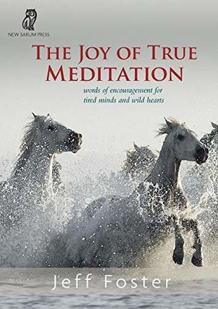 The Joy of True Meditation: Words of Encouragement for Tired Minds and Wild Hearts (Paperback)