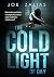 The Cold Light Of Day by Joe Zalias