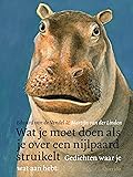 Wat je moet doen als je over een nijlpaard struikelt 