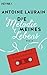 Die Melodie meines Lebens: Roman