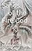Sands of the Fire God by Matthew Silvester