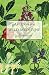 Wild Medicine, Summer: h