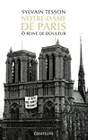Notre-Dame de Paris - Ô reine de douleur by Sylvain Tesson