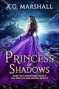 Princess of Shadows (Fairy Tale Adventures, #1)