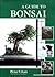 A Guide to Bonsai