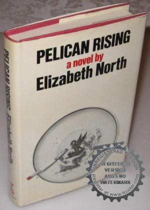 Pelican Rising