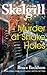Murder at Shake Holes (Detective Inspector Skelgill Investigates #13) by Bruce Beckham