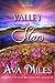 Valley of Stars (The Merria...