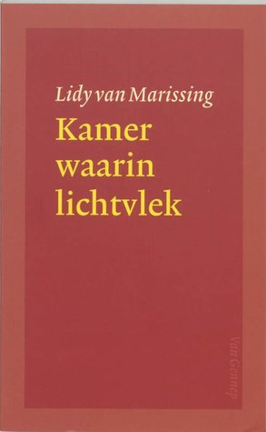 Kamer waarin lichtvlek (Paperback)