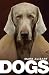 Dogs: A Philosophical Guide to Our Best Friends