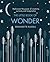 The Little Book of Wonder: Rediscover the power of creativity, curiosity and imagination