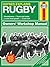 Haynes Explains: Rugby Owne...