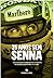 25 Anos Sem Senna