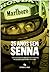 25 Anos Sem Senna by Ricardo Chaves