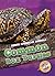 Common Box Turtles by Al Albertson