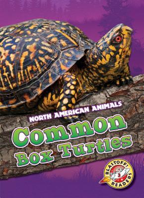 Common Box Turtles (North American Animals: Blastoff! Readers, Level 3)