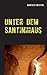 Unter dem Santinihaus: Erzä...