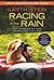 Racing in the Rain by Garth Stein