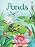 Ponds