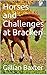 Horses and Challenges at Br...