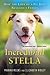 Incredibull Stella: How the...
