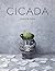Cicada by Shaun Tan