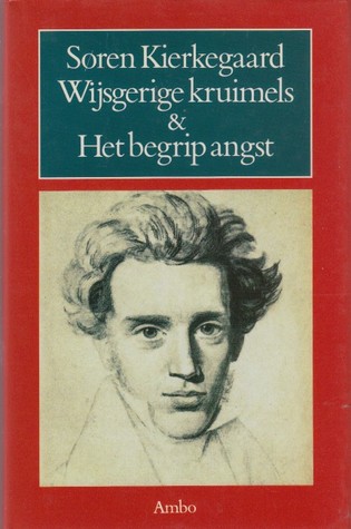 Wijsgerige kruimels & Het begrip angst (Hardcover)
