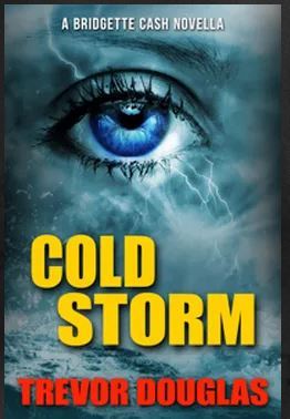 Cold Storm (A Bridgette Cash Novella)