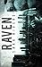 RAVEN (Nolan Brothers #2)
